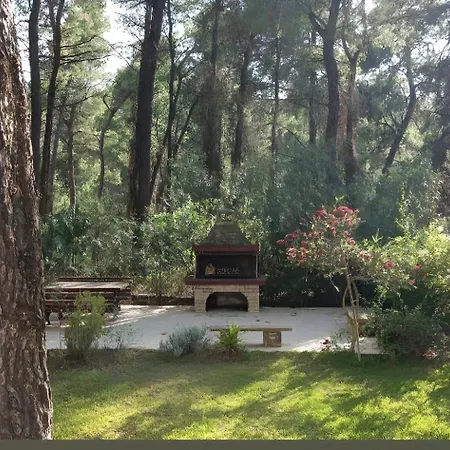 Anty In Sani, Chalkidiki *