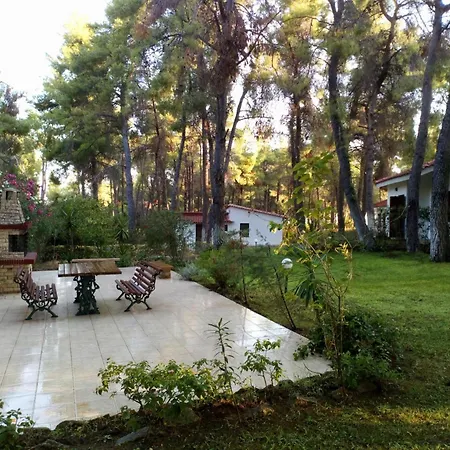 Anty In Sani, Chalkidiki