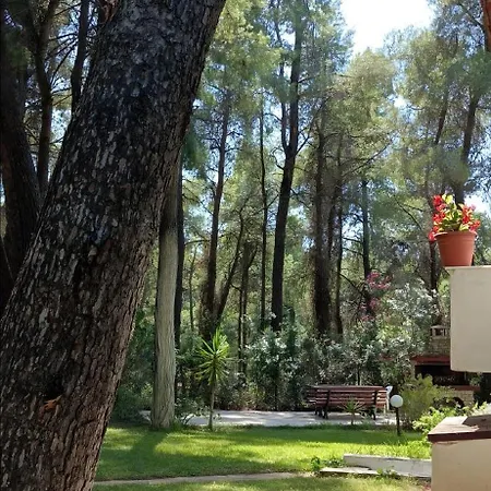 Nyaraló Anty In Sani, Chalkidiki