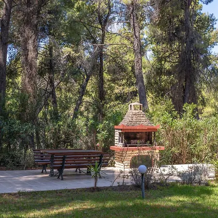 Anty In Sani, Chalkidiki