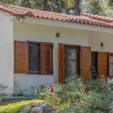 Anty In Sani, Chalkidiki